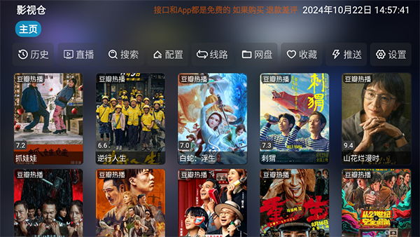 猫咪在向日葵花丛中追逐光斑的壁纸