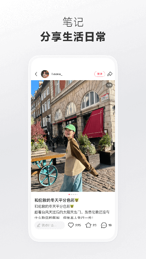 趴在枫叶堆里的柴犬幼崽打哈欠壁纸